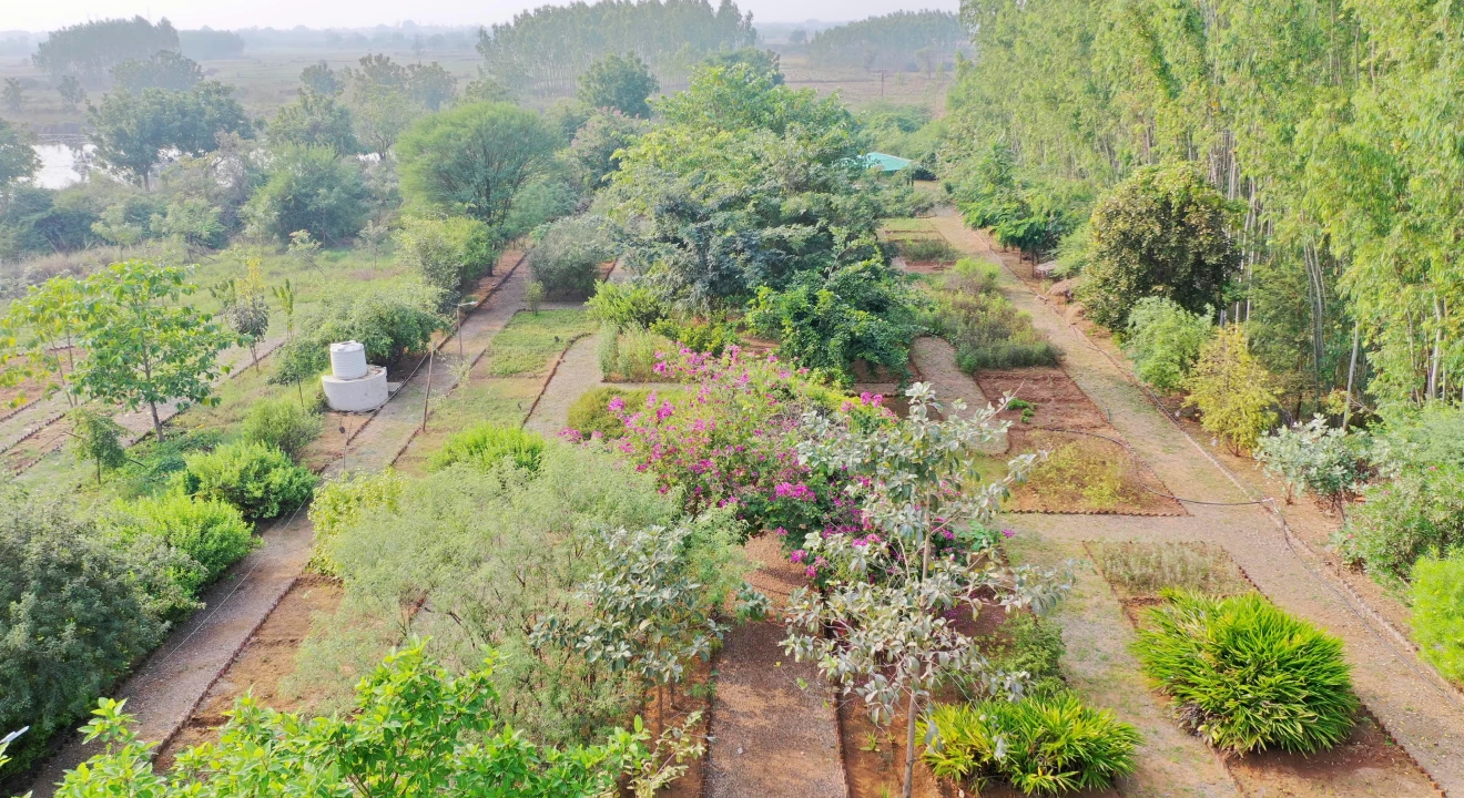K J Institute of Ayurveda and Research