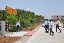 Medicinal Plants Garden